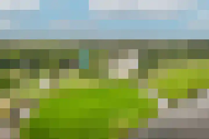 de Tuut 2 Appeltern thumbnail 53