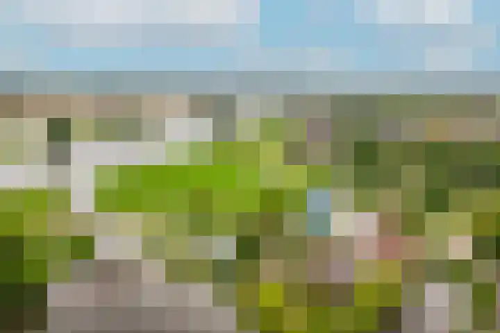 de Tuut 2 Appeltern thumbnail 54