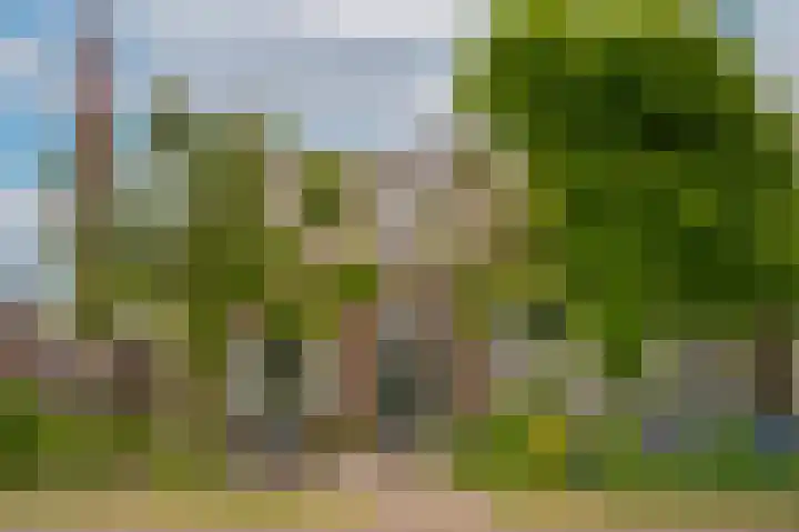 de Tuut 2 Appeltern thumbnail 62
