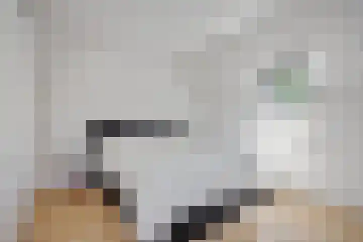 de Uilenburg 38 Ewijk thumbnail 22