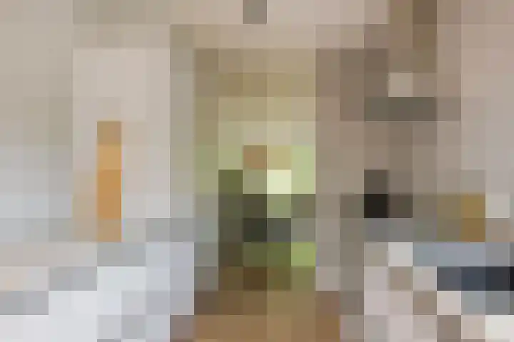 De Uitspanning 27 Blokker thumbnail 11