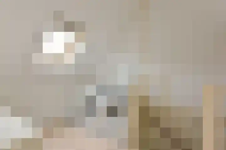De Uitspanning 27 Blokker thumbnail 25
