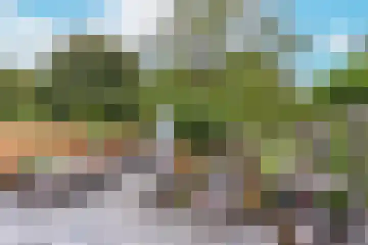 De Uitspanning 27 Blokker thumbnail 33
