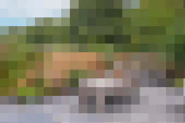 De Uitspanning 27 Blokker thumbnail 34