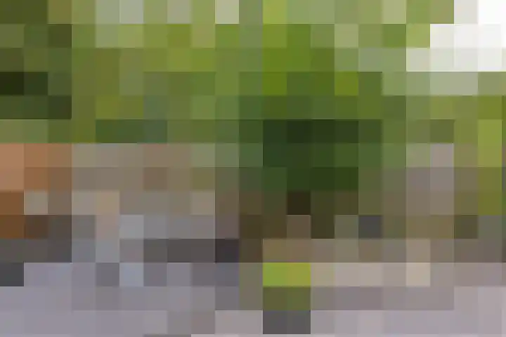 De Uitspanning 27 Blokker thumbnail 35