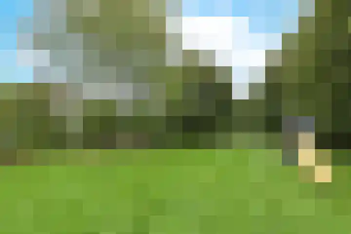 De Uitspanning 27 Blokker thumbnail 38