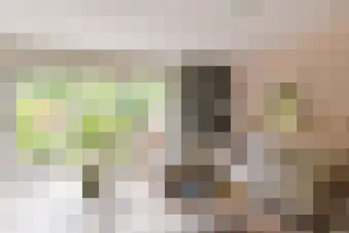 De Uitspanning 27 Blokker thumbnail 4