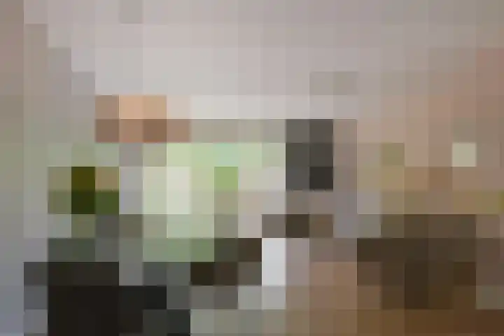 De Uitspanning 27 Blokker thumbnail 9