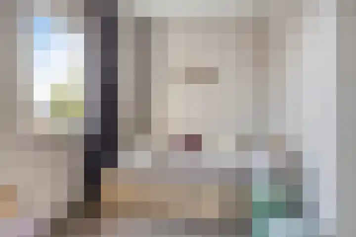 De Uitvang 46 a Bergeijk thumbnail 13