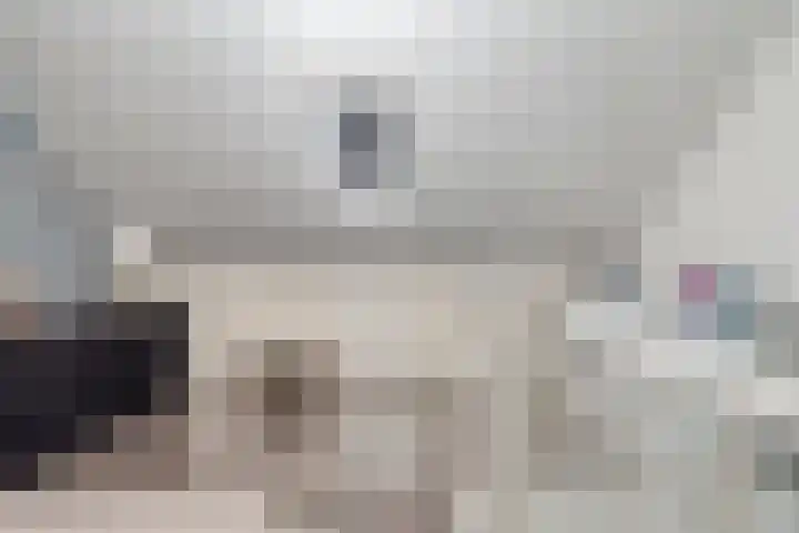 De Uitvang 46 a Bergeijk thumbnail 17