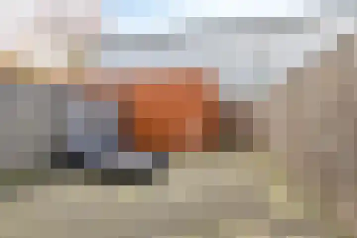 De Uitvang 46 a Bergeijk thumbnail 19