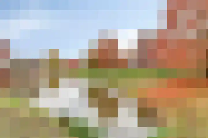 De Uitvang 46 a Bergeijk thumbnail 23