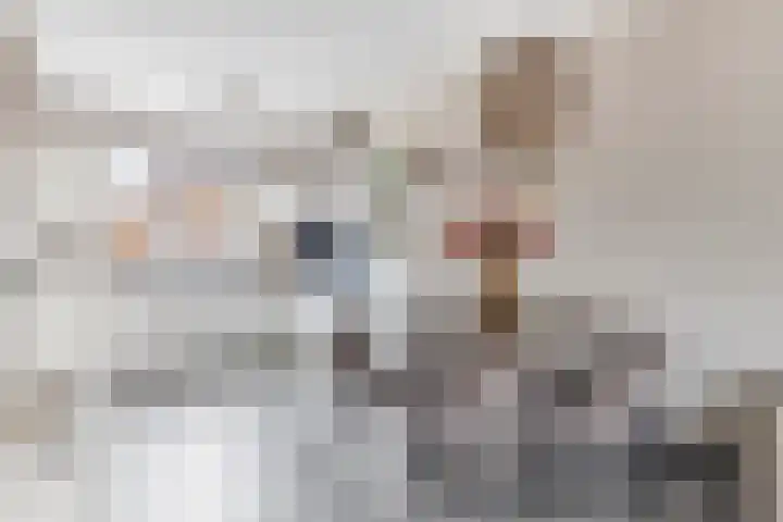 De Uitvang 46 a Bergeijk thumbnail 6
