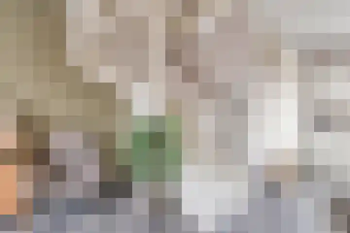 De Uitvang 46 a Bergeijk thumbnail 9