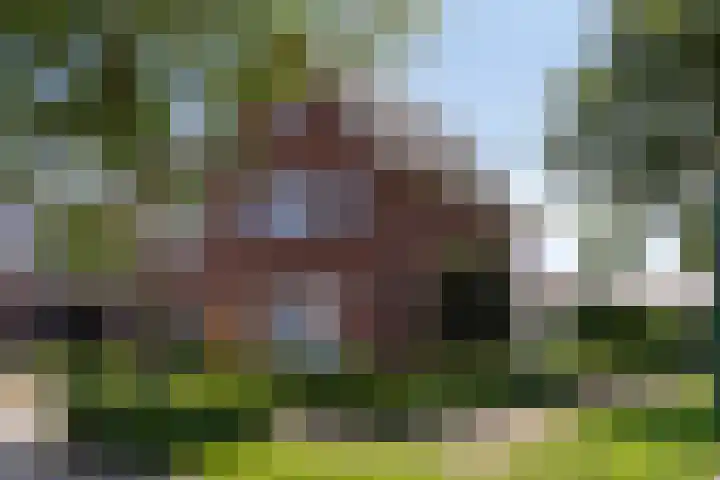 De Uitvang 94 in Bergeijk