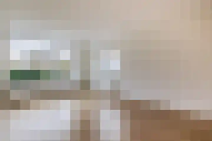 De Ulekamp 42 Joure thumbnail 13