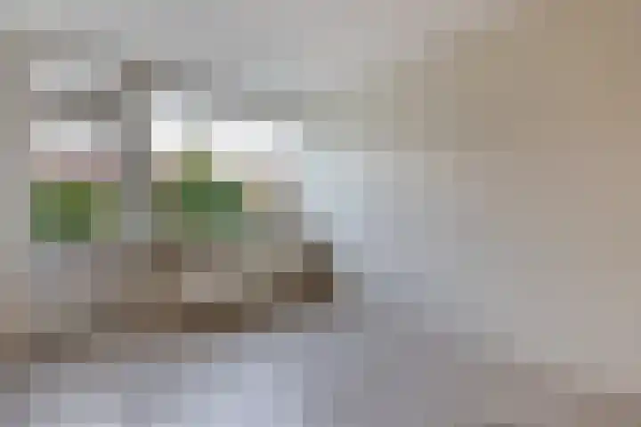 De Ulekamp 42 Joure thumbnail 14