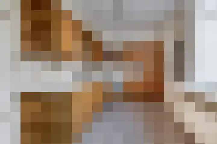 De Ulekamp 42 Joure thumbnail 16
