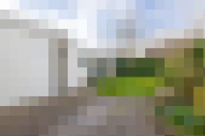 De Ulekamp 42 Joure thumbnail 29