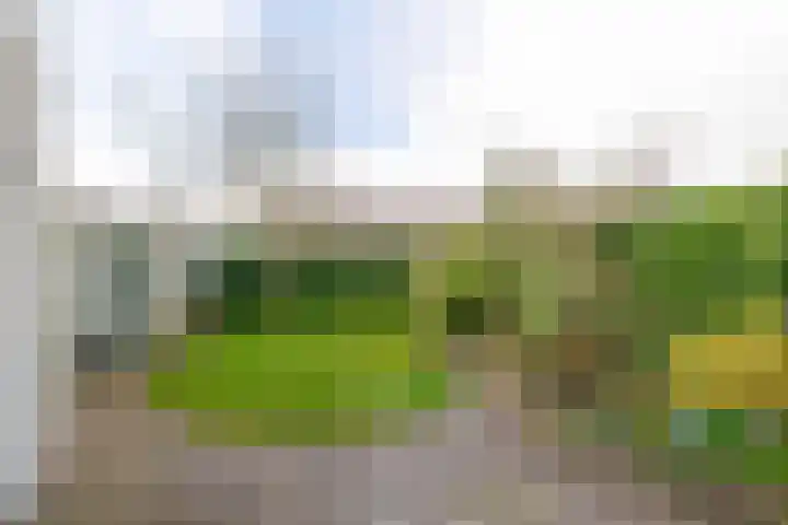 De Ulekamp 42 Joure thumbnail 30
