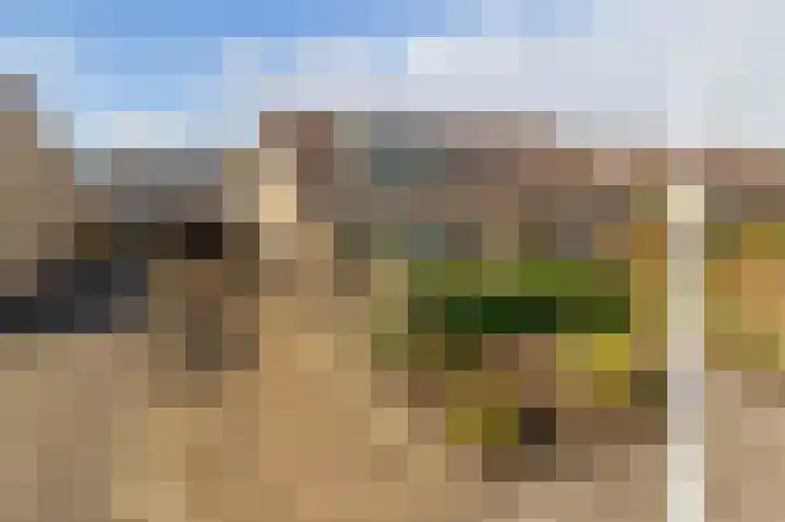 De Ulekamp 42 Joure thumbnail 40