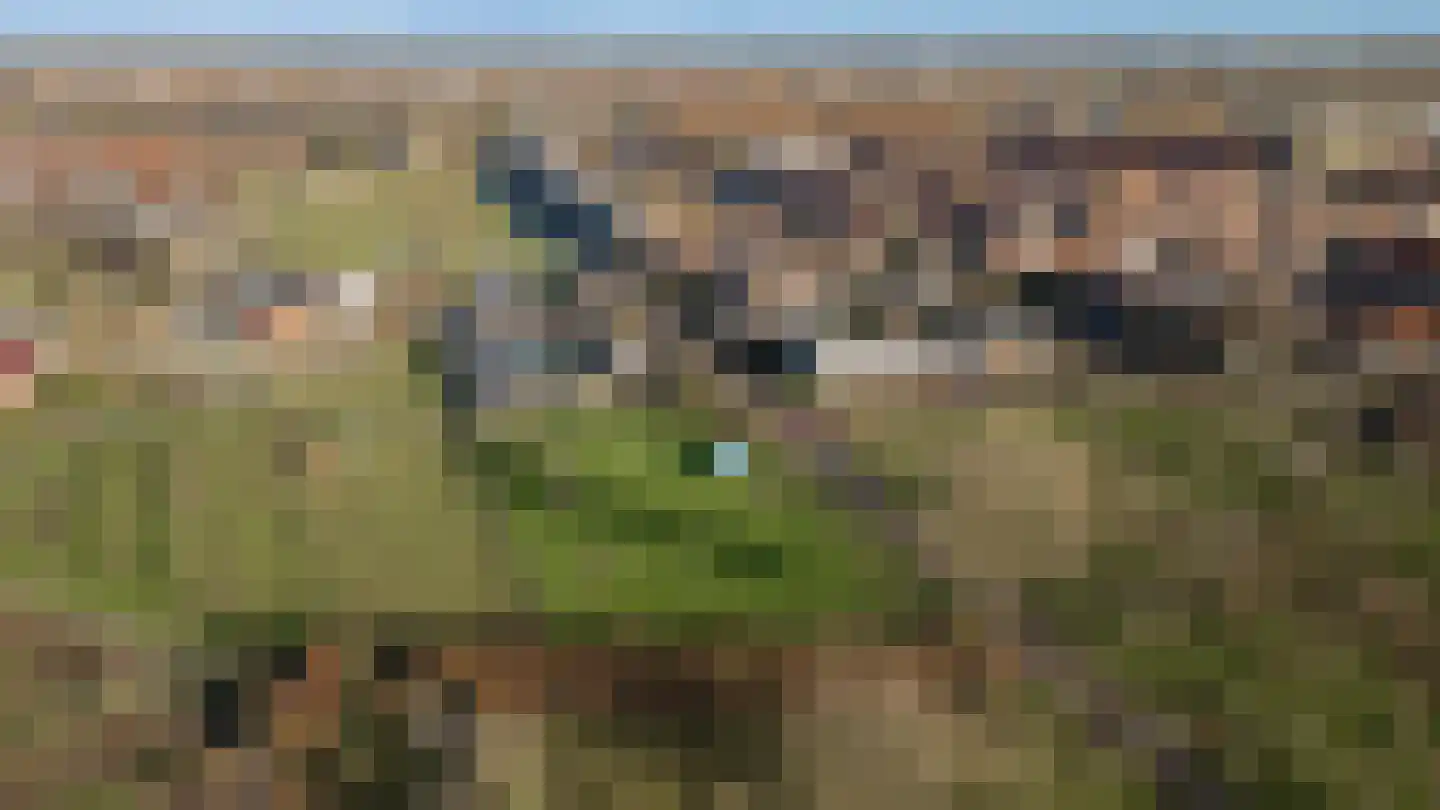De Uphof 9 Culemborg thumbnail 60