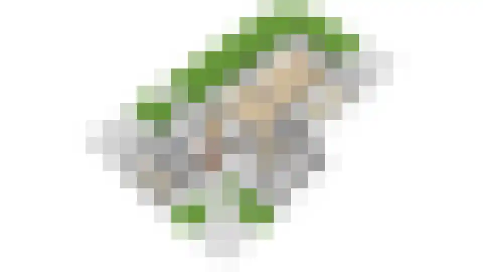 De Uphof 9 Culemborg thumbnail 76