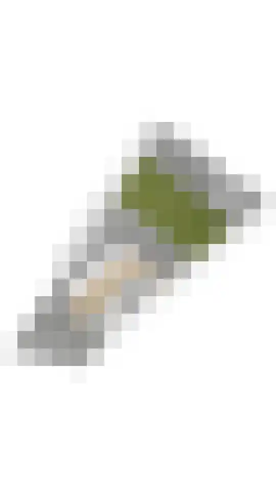 de Vaart 20 Schagen thumbnail 41