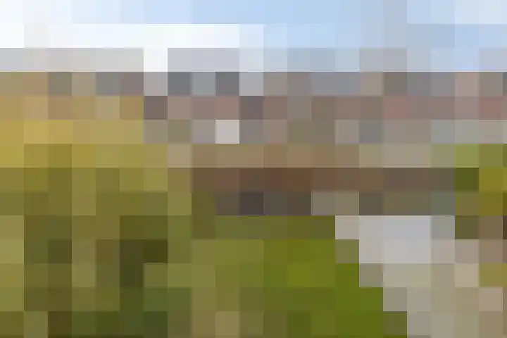 de Vaart 38 Schagen thumbnail 40