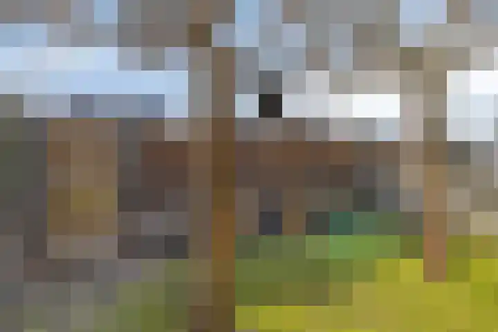 de Vaart 38 Schagen thumbnail 61