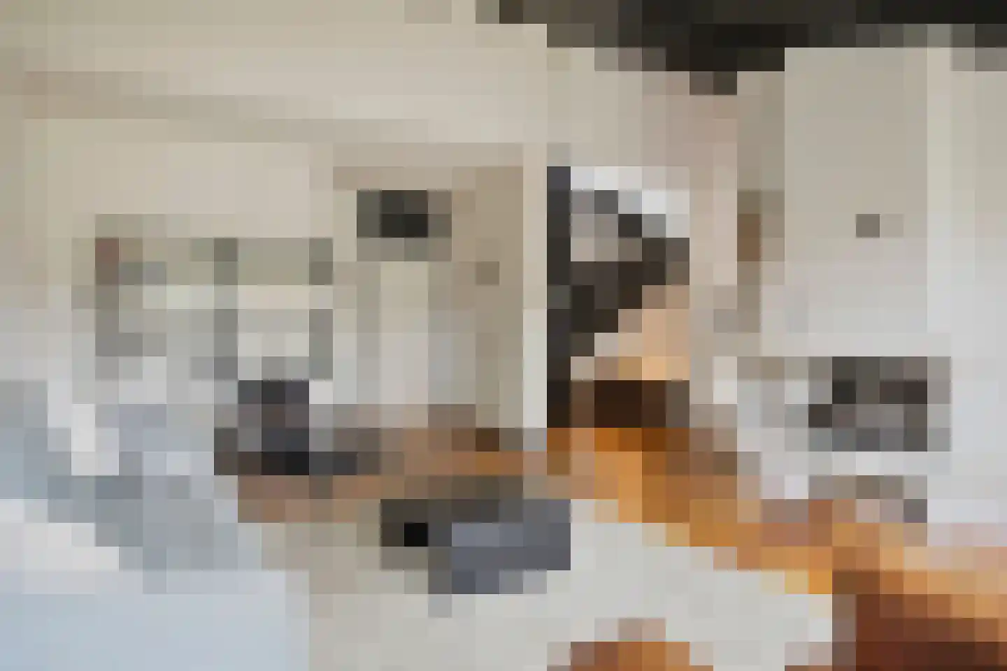De Vallei 29 Assen thumbnail 16
