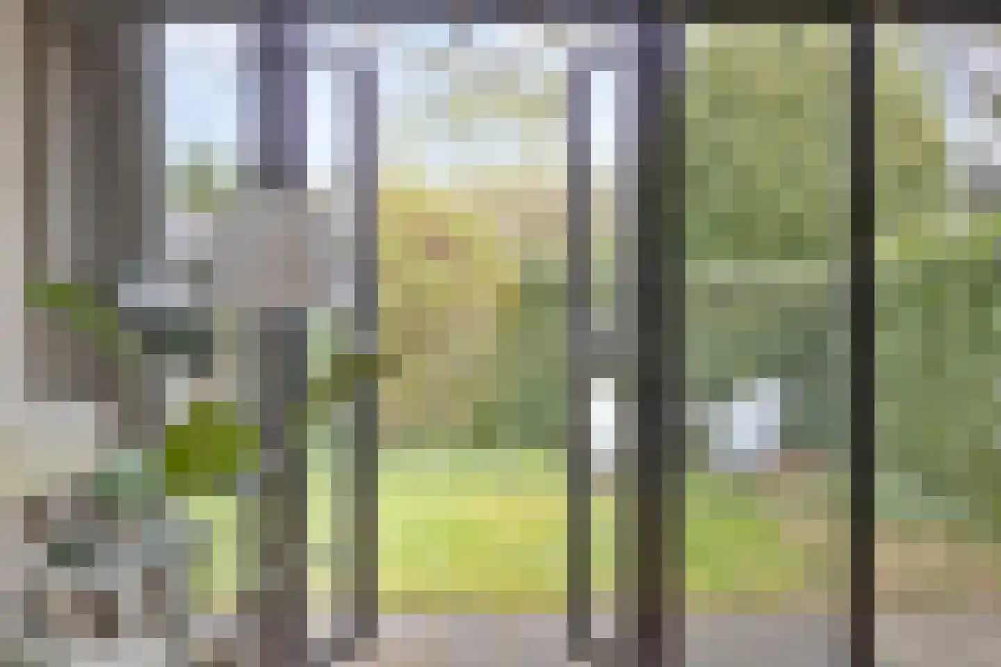 De Vallei 29 Assen thumbnail 17