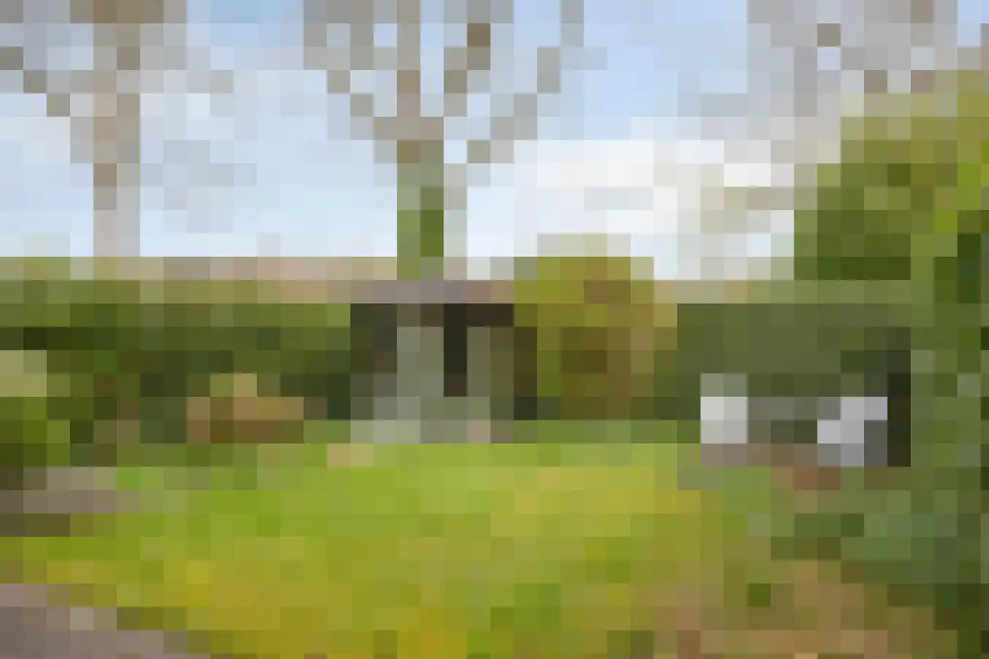 De Vallei 29 Assen thumbnail 18