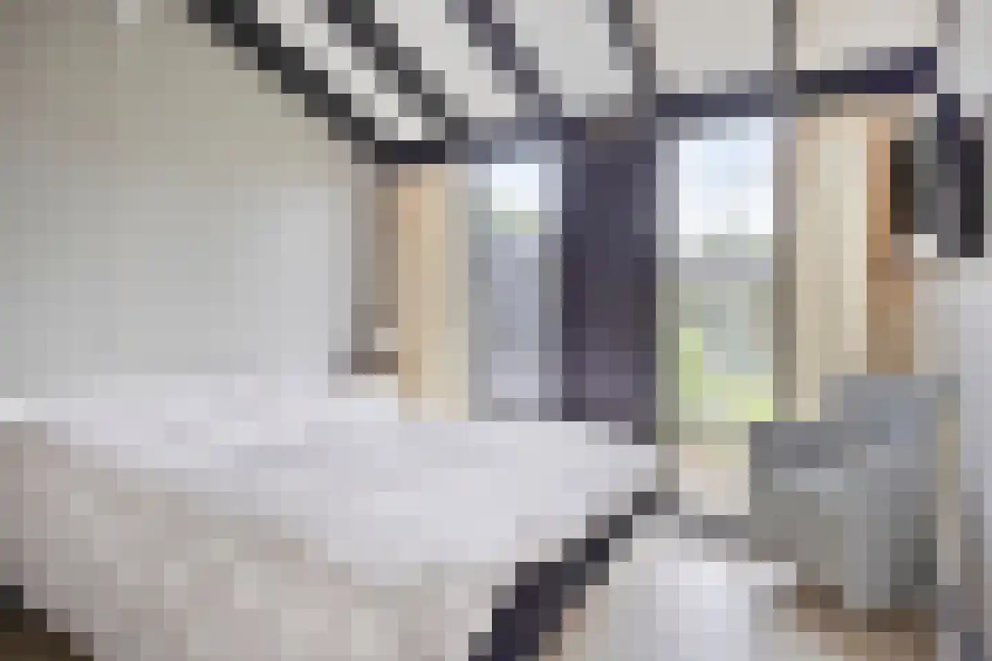De Vallei 29 Assen thumbnail 20