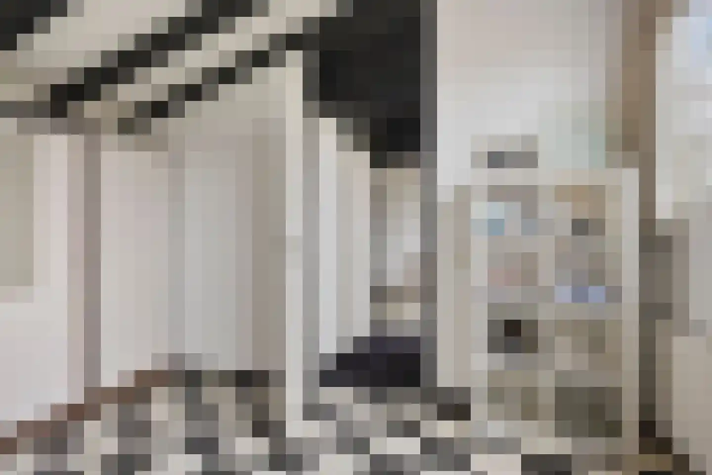 De Vallei 29 Assen thumbnail 30