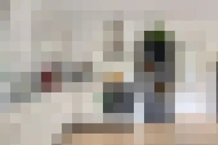 De Valouwe 59 Appelscha thumbnail 10