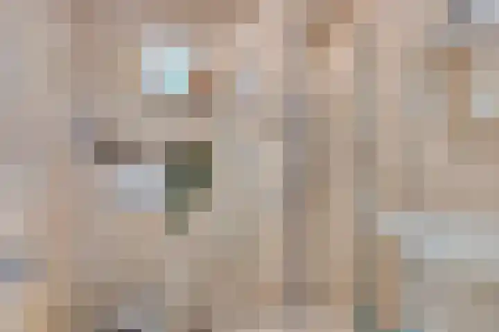 De Valouwe 59 Appelscha thumbnail 13