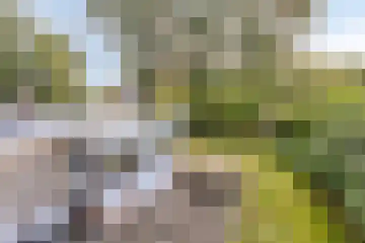 De Valouwe 59 Appelscha thumbnail 17