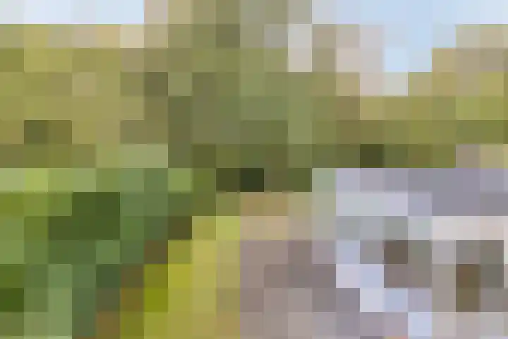 De Valouwe 59 Appelscha thumbnail 19
