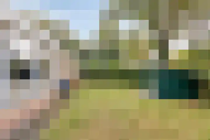 De Valouwe 59 Appelscha thumbnail 21