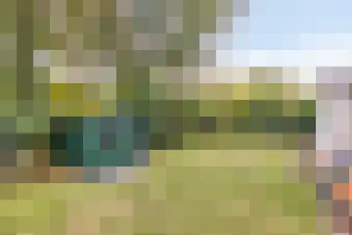 De Valouwe 59 Appelscha thumbnail 22