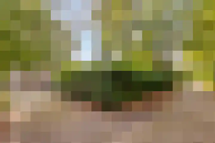 De Valouwe 59 Appelscha thumbnail 23