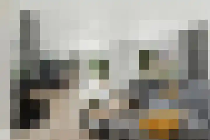 De Vang 12 Alblasserdam thumbnail 10