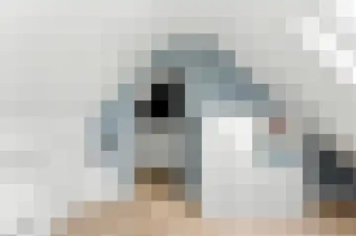De Vang 12 Alblasserdam thumbnail 37