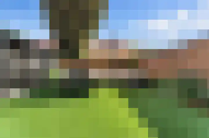 De Vang 12 Alblasserdam thumbnail 41