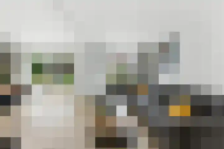 De Vang 12 Alblasserdam thumbnail 9
