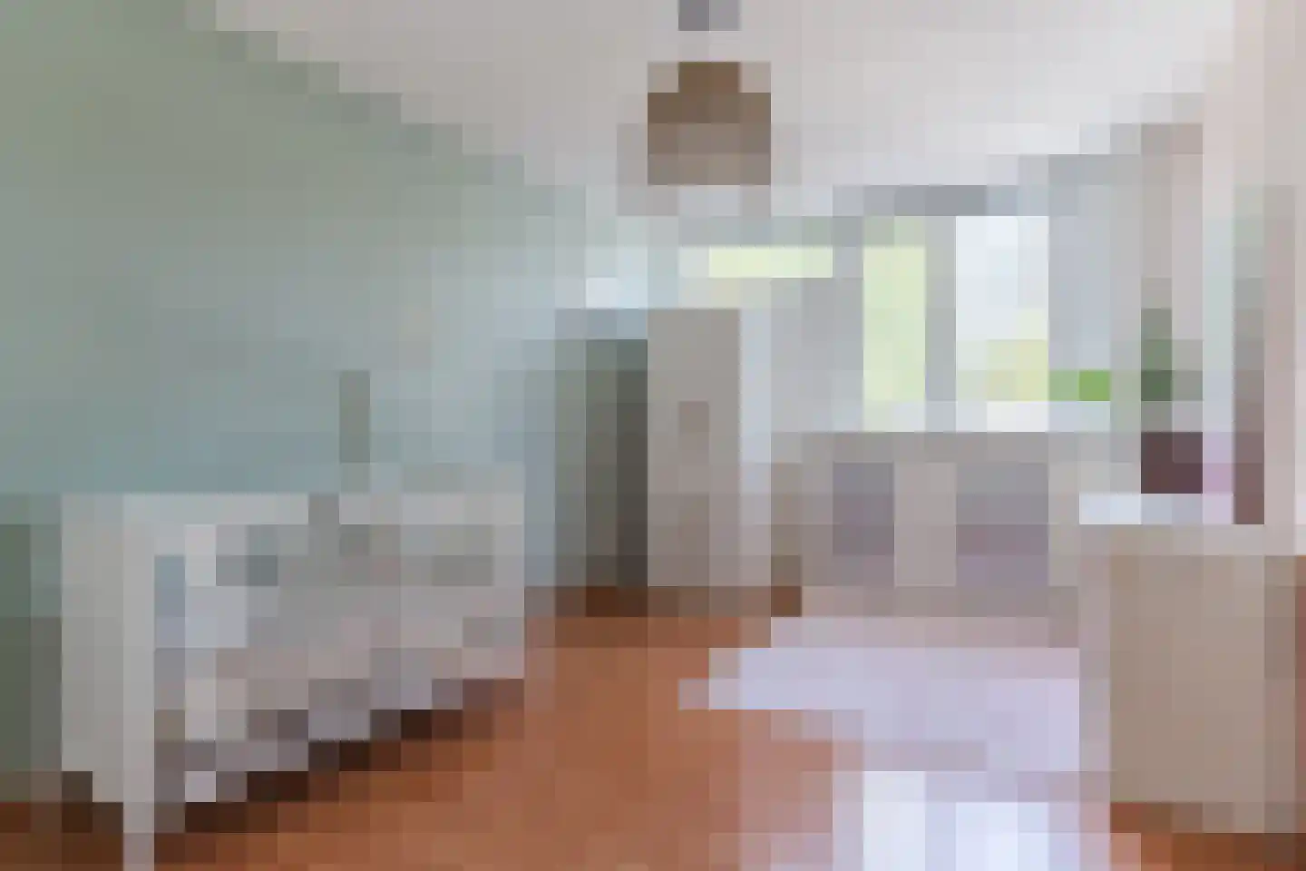 de Vang 13 Bergeijk thumbnail 16