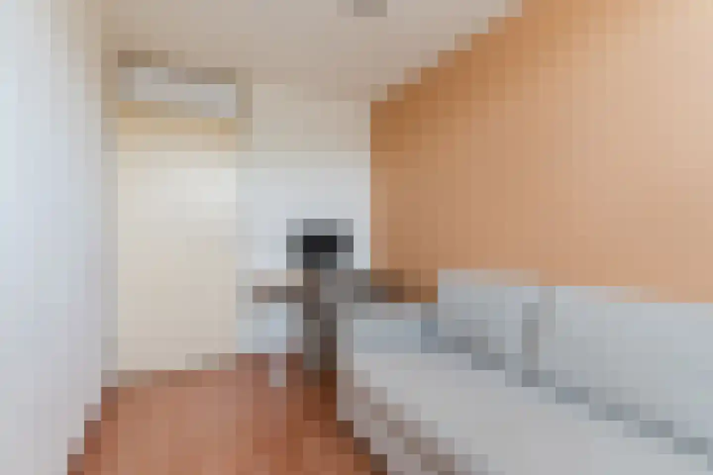 de Vang 13 Bergeijk thumbnail 19