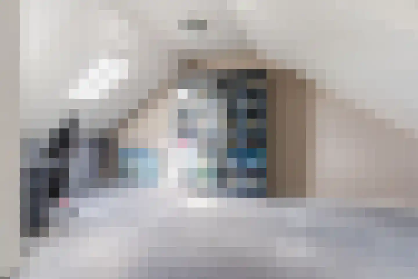 de Vang 13 Bergeijk thumbnail 22