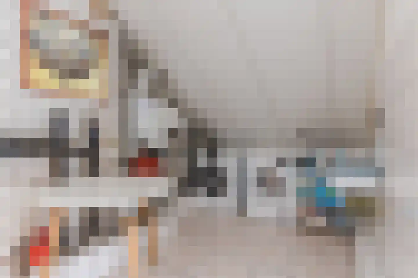 de Vang 13 Bergeijk thumbnail 25